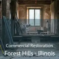 Commercial Restoration Forest Hills - Illinois