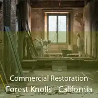 Commercial Restoration Forest Knolls - California