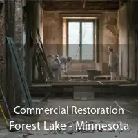 Commercial Restoration Forest Lake - Minnesota