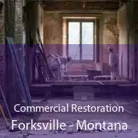 Commercial Restoration Forksville - Montana
