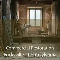 Commercial Restoration Forksville - Pennsylvania