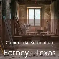 Commercial Restoration Forney - Texas