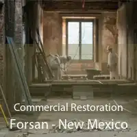 Commercial Restoration Forsan - New Mexico