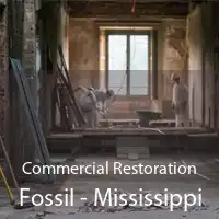 Commercial Restoration Fossil - Mississippi