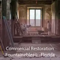 Commercial Restoration Fountainebleau - Florida