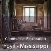 Commercial Restoration Foyil - Mississippi
