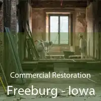 Commercial Restoration Freeburg - Iowa
