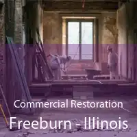 Commercial Restoration Freeburn - Illinois