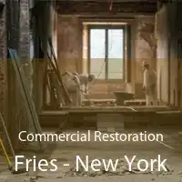 Commercial Restoration Fries - New York