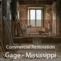 Commercial Restoration Gage - Mississippi