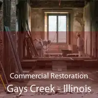Commercial Restoration Gays Creek - Illinois