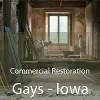 Commercial Restoration Gays - Iowa