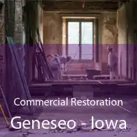 Commercial Restoration Geneseo - Iowa