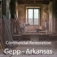 Commercial Restoration Gepp - Arkansas