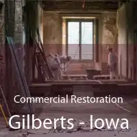Commercial Restoration Gilberts - Iowa