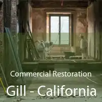 Commercial Restoration Gill - California