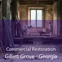 Commercial Restoration Gillett Grove - Georgia
