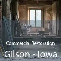 Commercial Restoration Gilson - Iowa