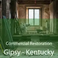 Commercial Restoration Gipsy - Kentucky