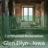 Commercial Restoration Glen Ellyn - Iowa