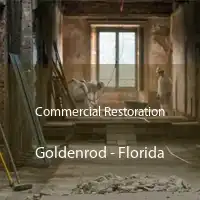 Commercial Restoration Goldenrod - Florida