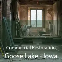 Commercial Restoration Goose Lake - Iowa
