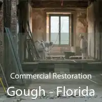Commercial Restoration Gough - Florida