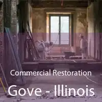 Commercial Restoration Gove - Illinois