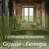 Commercial Restoration Gowrie - Georgia