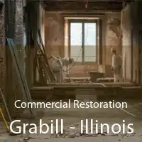 Commercial Restoration Grabill - Illinois