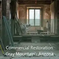 Commercial Restoration Gray Mountain - Arizona
