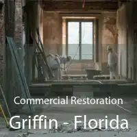 Commercial Restoration Griffin - Florida