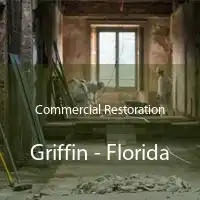 Commercial Restoration Griffin - Florida