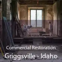 Commercial Restoration Griggsville - Idaho