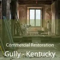Commercial Restoration Gully - Kentucky