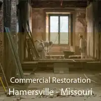 Commercial Restoration Hamersville - Missouri