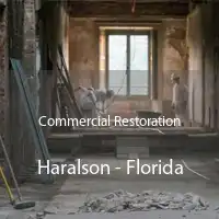 Commercial Restoration Haralson - Florida