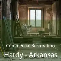 Commercial Restoration Hardy - Arkansas