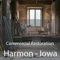 Commercial Restoration Harmon - Iowa