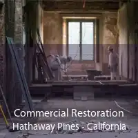 Commercial Restoration Hathaway Pines - California