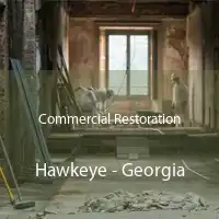 Commercial Restoration Hawkeye - Georgia