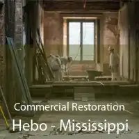 Commercial Restoration Hebo - Mississippi