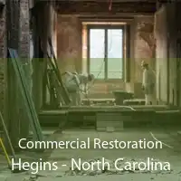 Commercial Restoration Hegins - North Carolina