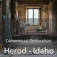 Commercial Restoration Herod - Idaho