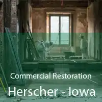 Commercial Restoration Herscher - Iowa
