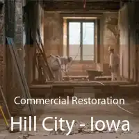 Commercial Restoration Hill City - Iowa