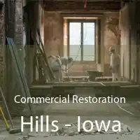 Commercial Restoration Hills - Iowa