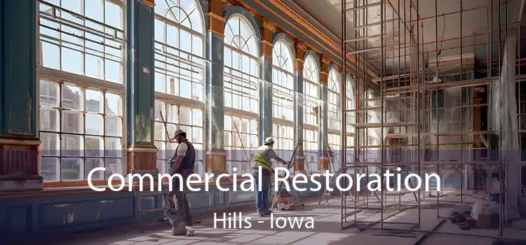 Commercial Restoration Hills - Iowa