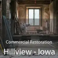 Commercial Restoration Hillview - Iowa