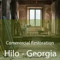 Commercial Restoration Hilo - Georgia